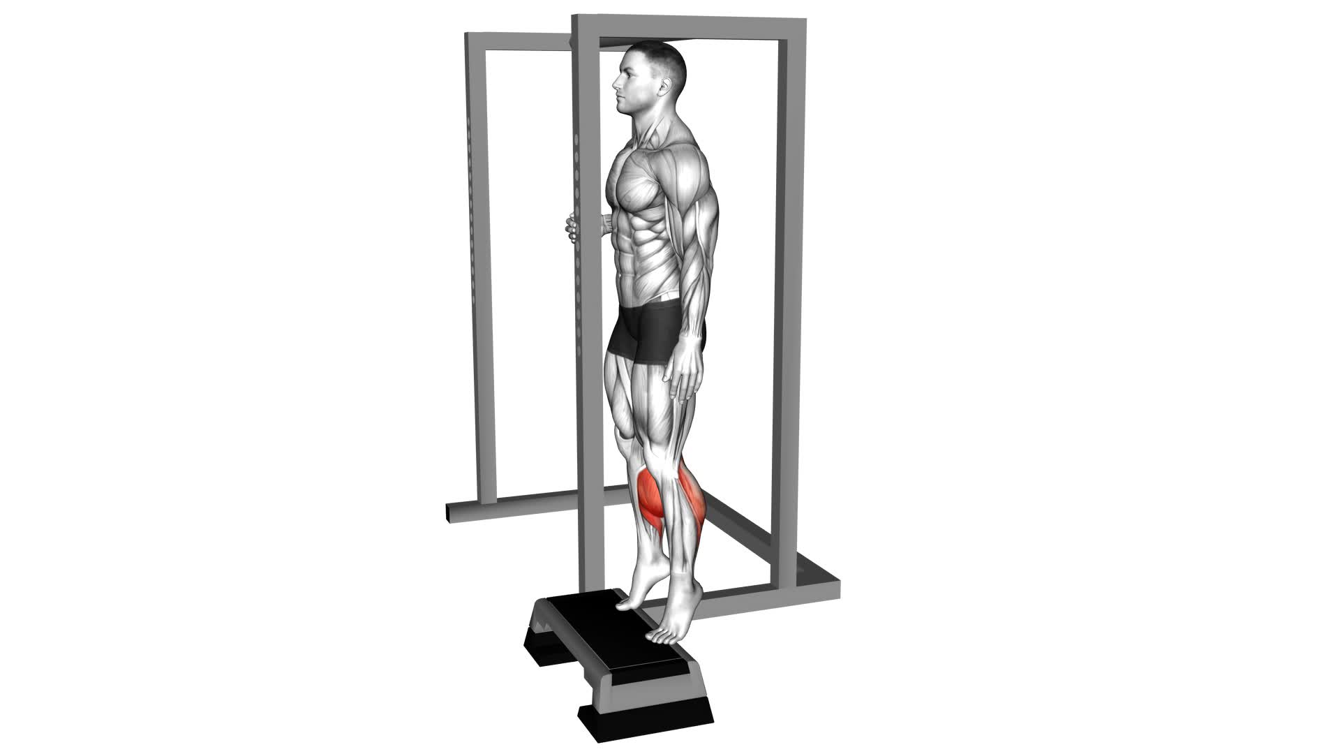 Elevated Calf Raise: Video Guide & Tips For Stronger Calves