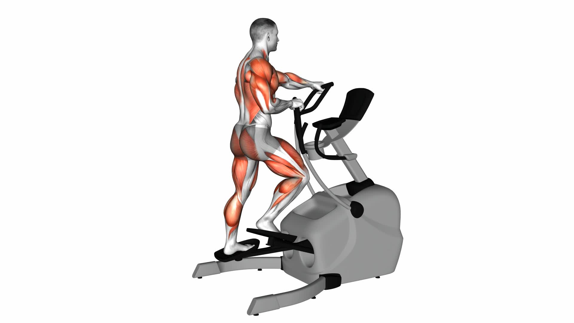 Elliptical Lateral Walk - Video Exercise Guide & Tips