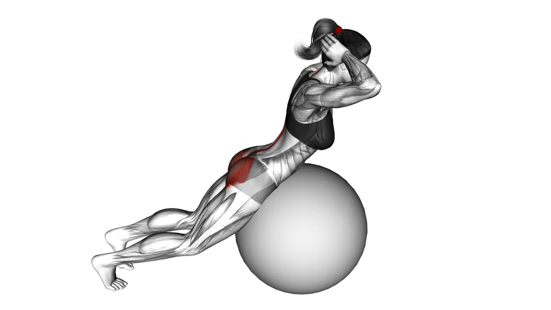 Exercise Ball Back Extension With Hands Behind Head (female) - Video Exercise Guide & Tips