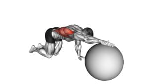Exercise Ball Lat Stretch - Video Exercise Guide & Tips