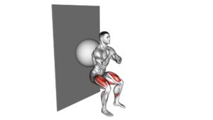 Exercise Ball Wall Squat - Video Exercise Guide & Tips