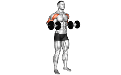 exercises by equipment Dumbbell