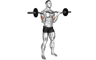 exercises by equipment EZ Barbell
