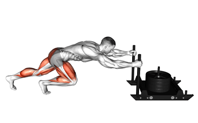 exercises by equipment Power Sled