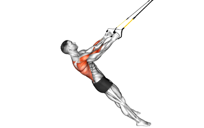 exercises by equipment Suspension