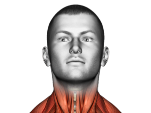 Men Enhancement Products: A Guide to Natural Vitality