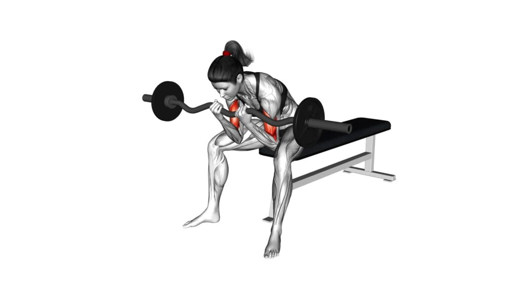 Ez Bar Seated Close Grip Concentration Curl Female Exercise Guide