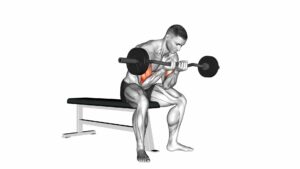 EZ-Bar Seated Close-Grip Concentration Curl - Video Exercise Guide & Tips