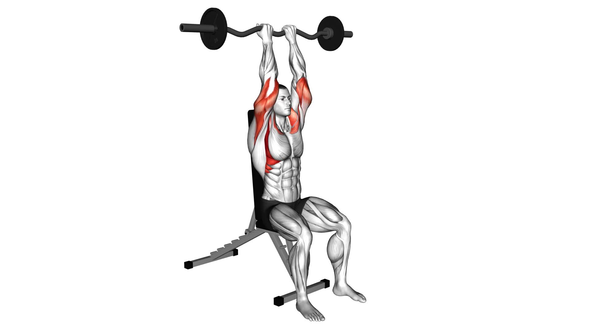 EZ Bar Seated Close Grip Shoulder Press - Video Exercise Guide & Tips