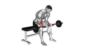 EZ Bar Seated Wrist Reverse Curl - Video Exercise Guide & Tips