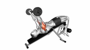 EZ-Barbell Decline Triceps Extension - Video Exercise Guide & Tips
