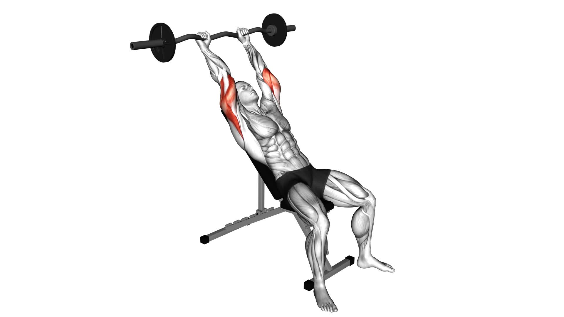 Ez Barbell Incline Triceps Extension: Video Guide & Tips