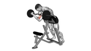 EZ-Barbell Standing Preacher Curl - Video Exercise Guide & Tips
