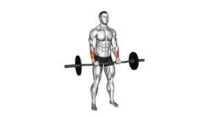 EZ Barbell Standing Wrist Reverse Curl - Video Exercise Guide & Tips