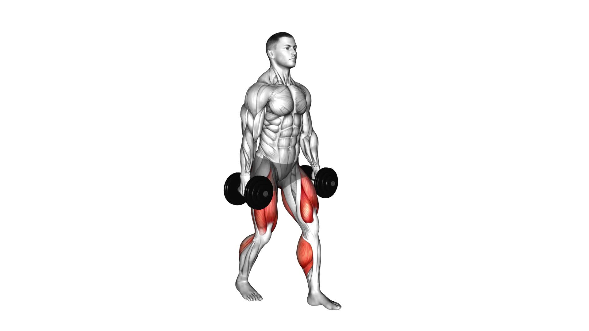 Farmers Walk - Video Exercise Guide & Tips