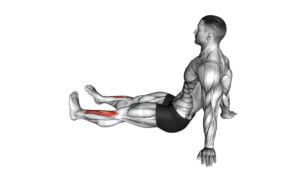 Feet and Ankles Rotation Stretch (male) - Video Exercise Guide & Tips