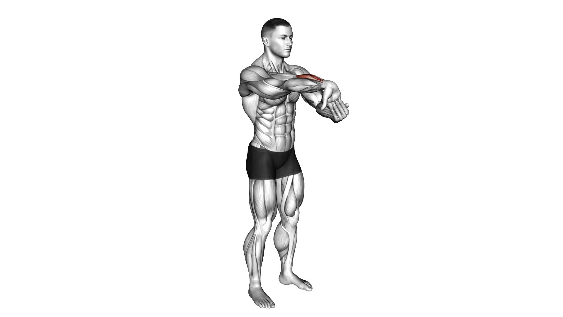 Fingers Down Forearm Stretch - Video Exercise Guide & Tips