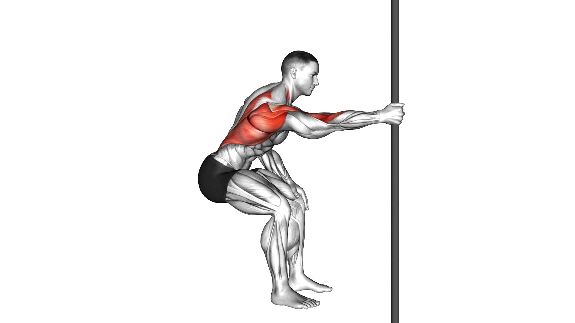 Fixed Bar Back Stretch - Video Exercise Guide & Tips