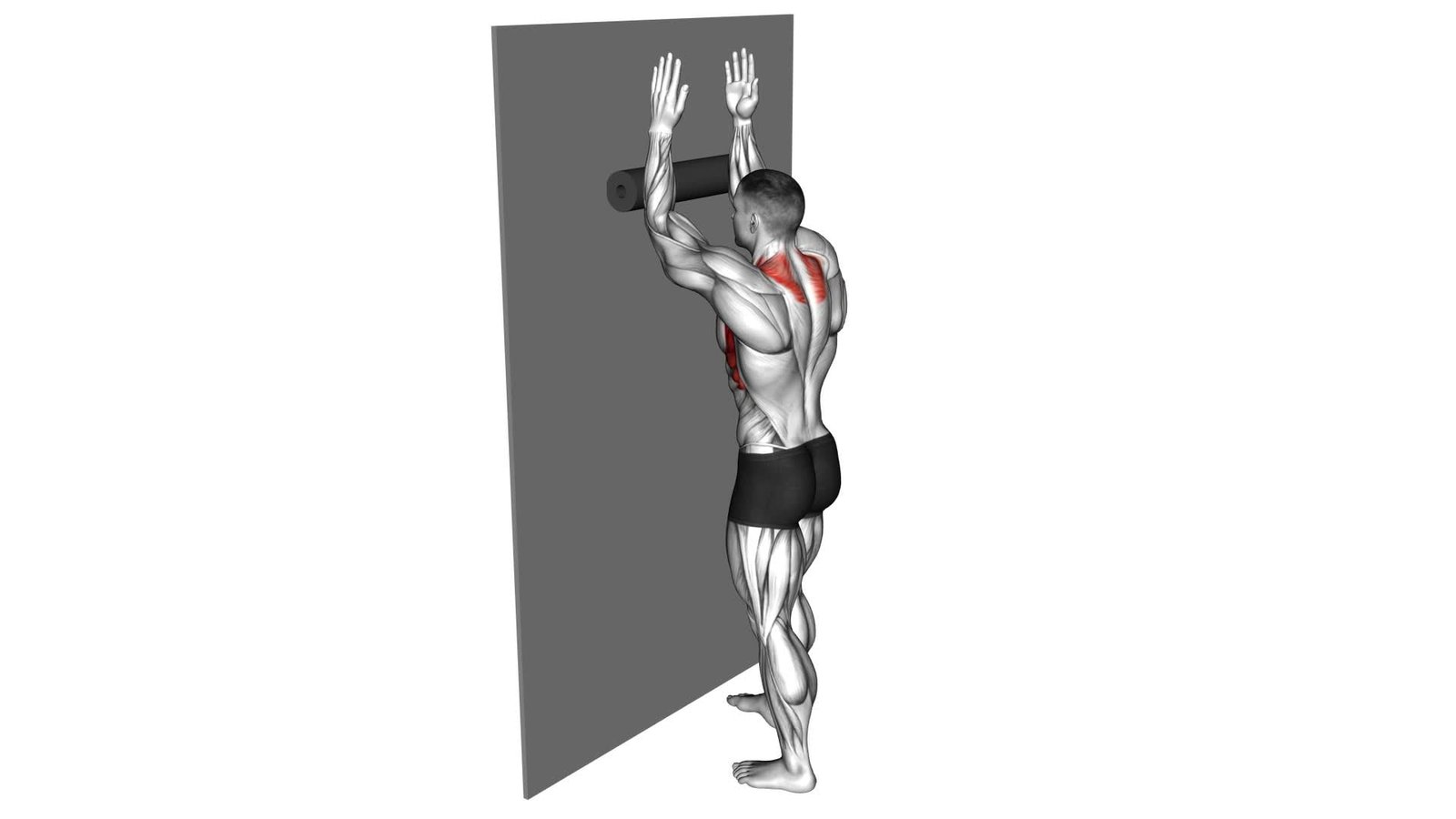 Pec Foam Rolling Ultimate Exercise Guide Tips