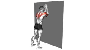 Forearms to Wide Grip Wall Push-up (male) - Video Exercise Guide & Tips