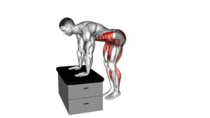 Forward Hop on a Padded Stool (Male) - Video Exercise Guide & Tips