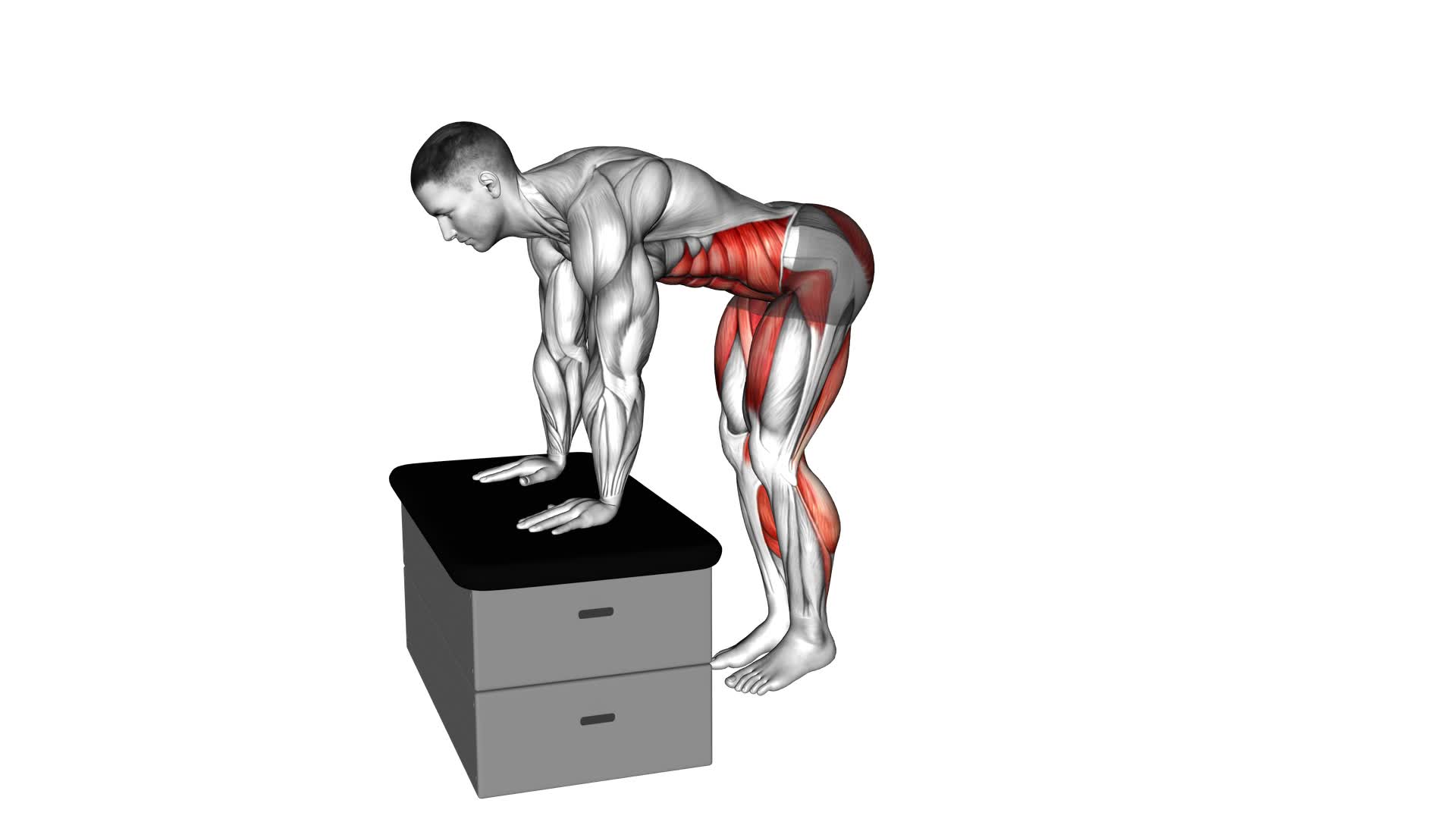 Forward Hop on a Padded Stool (Male) - Video Exercise Guide & Tips