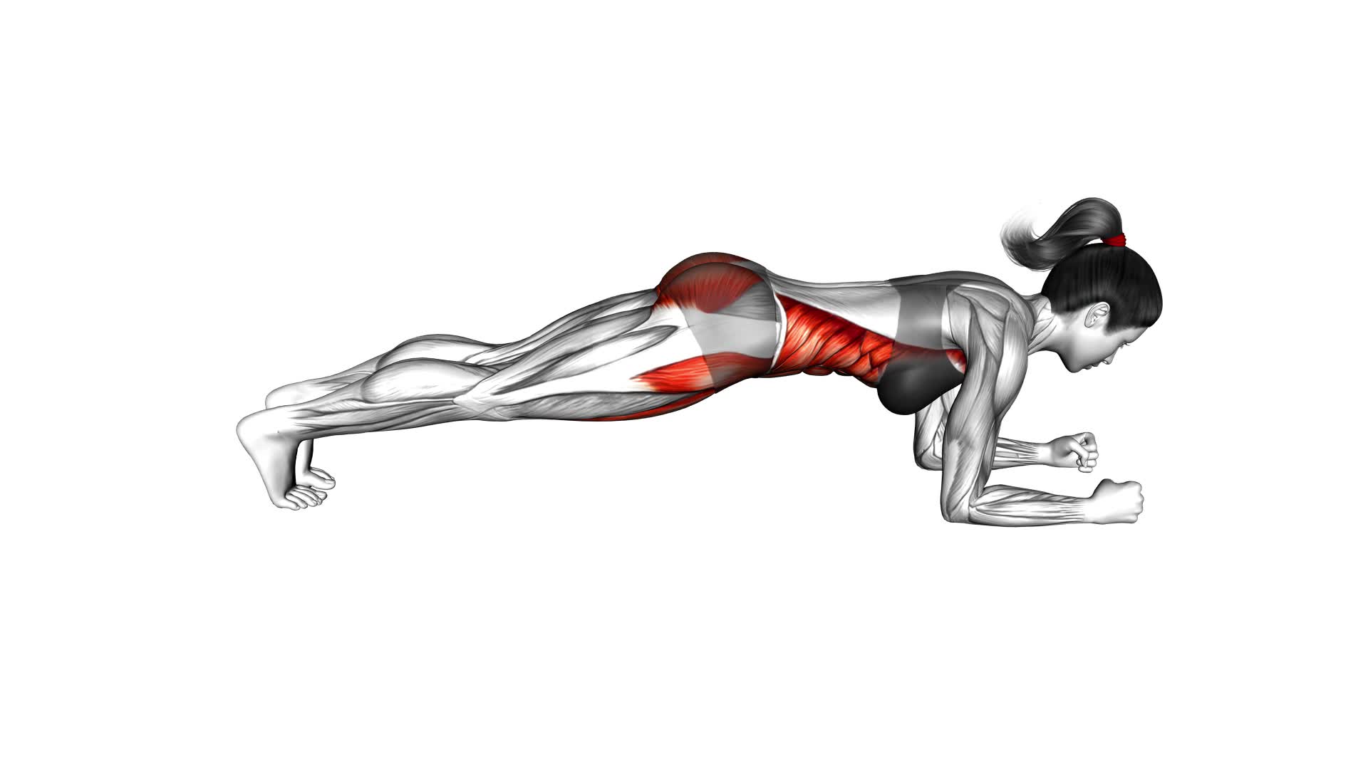 Forward Step Front Plank (female) - Video Exercise Guide & Tips