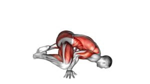 Frog Planche - Video Exercise Guide & Tips