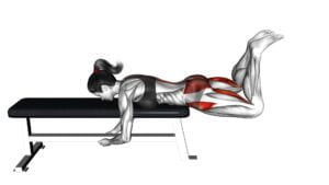 Frog Reverse Hyperextension (On a Bench) (Female) - Video Exercise Guide & Tips