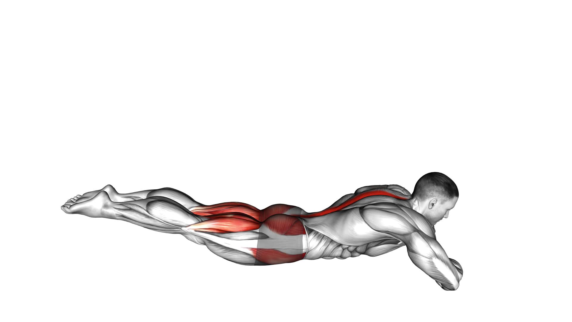 Frog Reverse Hyperextension Tap on Floor (male) - Video Exercise Guide & Tips