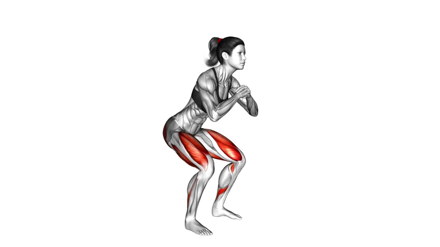 Frog Squat (female): Ultimate Video Guide & Expert Tips