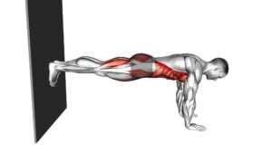 Front Plank Against Wall (Male) - Video Exercise Guide & Tips