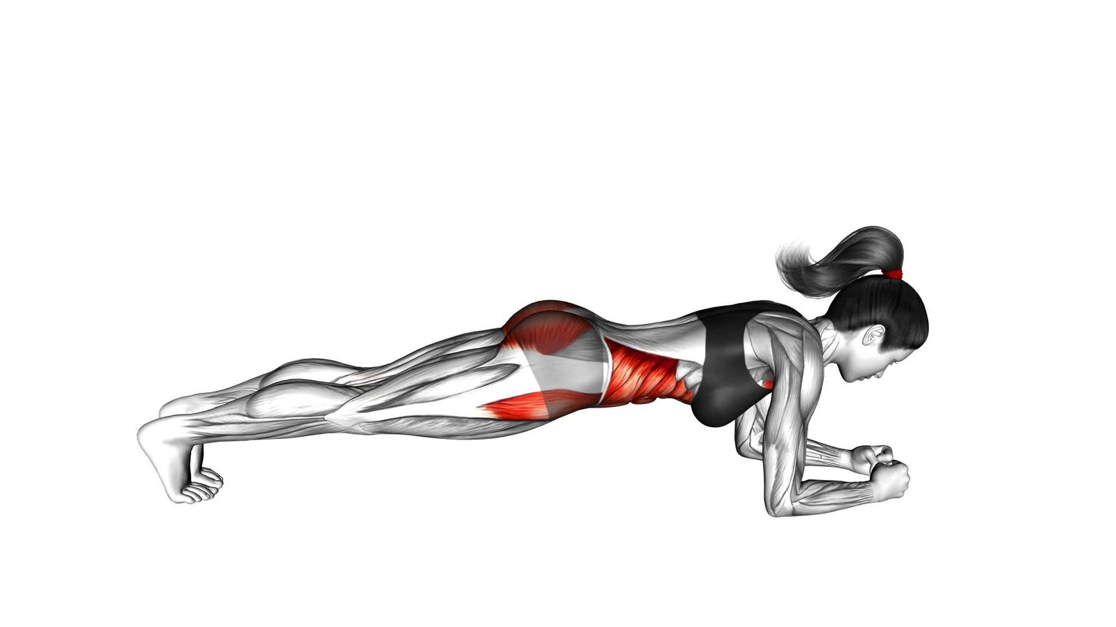 Front Plank (female) - Video Exercise Guide & Tips