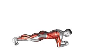 Front Plank With Arm and Leg Lift (Male) - Video Exercise Guide & Tips