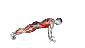 Front Plank With Arm and Leg Lift (Push-Up Position) (Male) - Video Exercise Guide & Tips