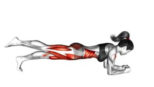 Front Plank With Leg Lift (Female) - Video Exercise Guide & Tips