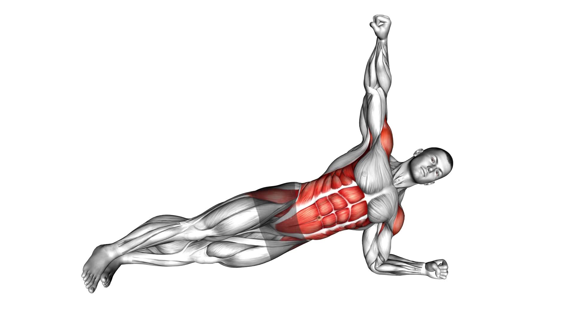 Front Plank With Twist - Video Exercise Guide & Tips