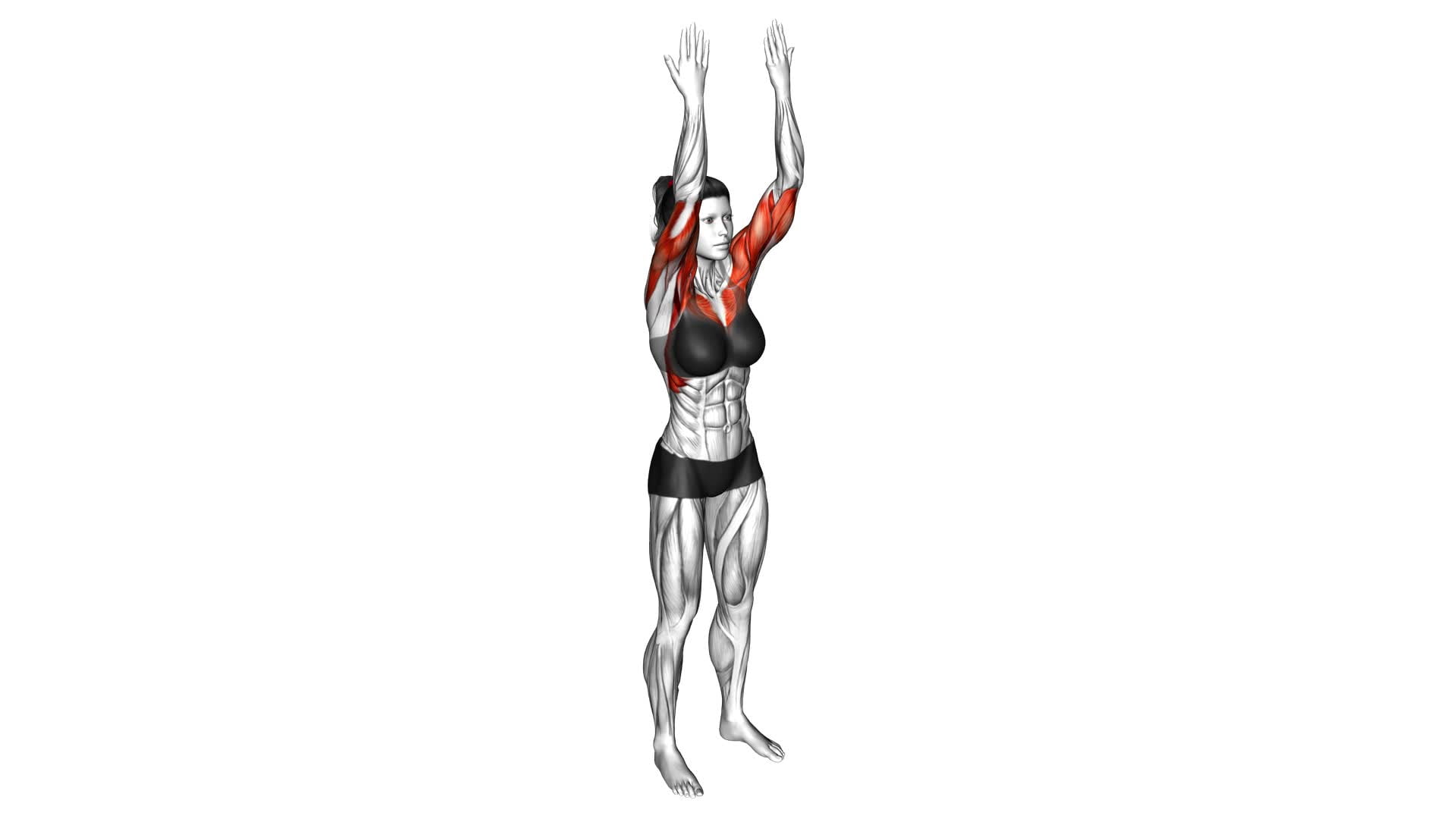 Front Scoops (female) - Video Exercise Guide & Tips