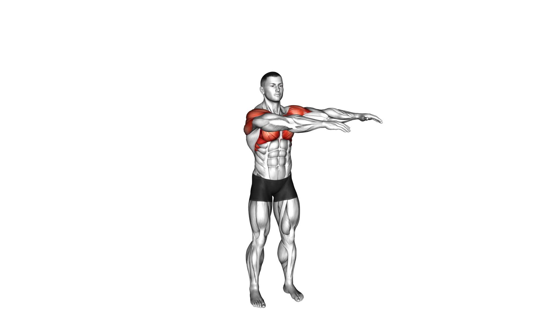 Full Arm Rotation - Video Exercise Guide & Tips