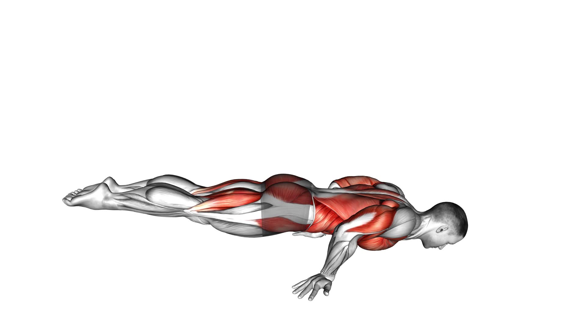 Full Planche Push-up - Video Exercise Guide & Tips