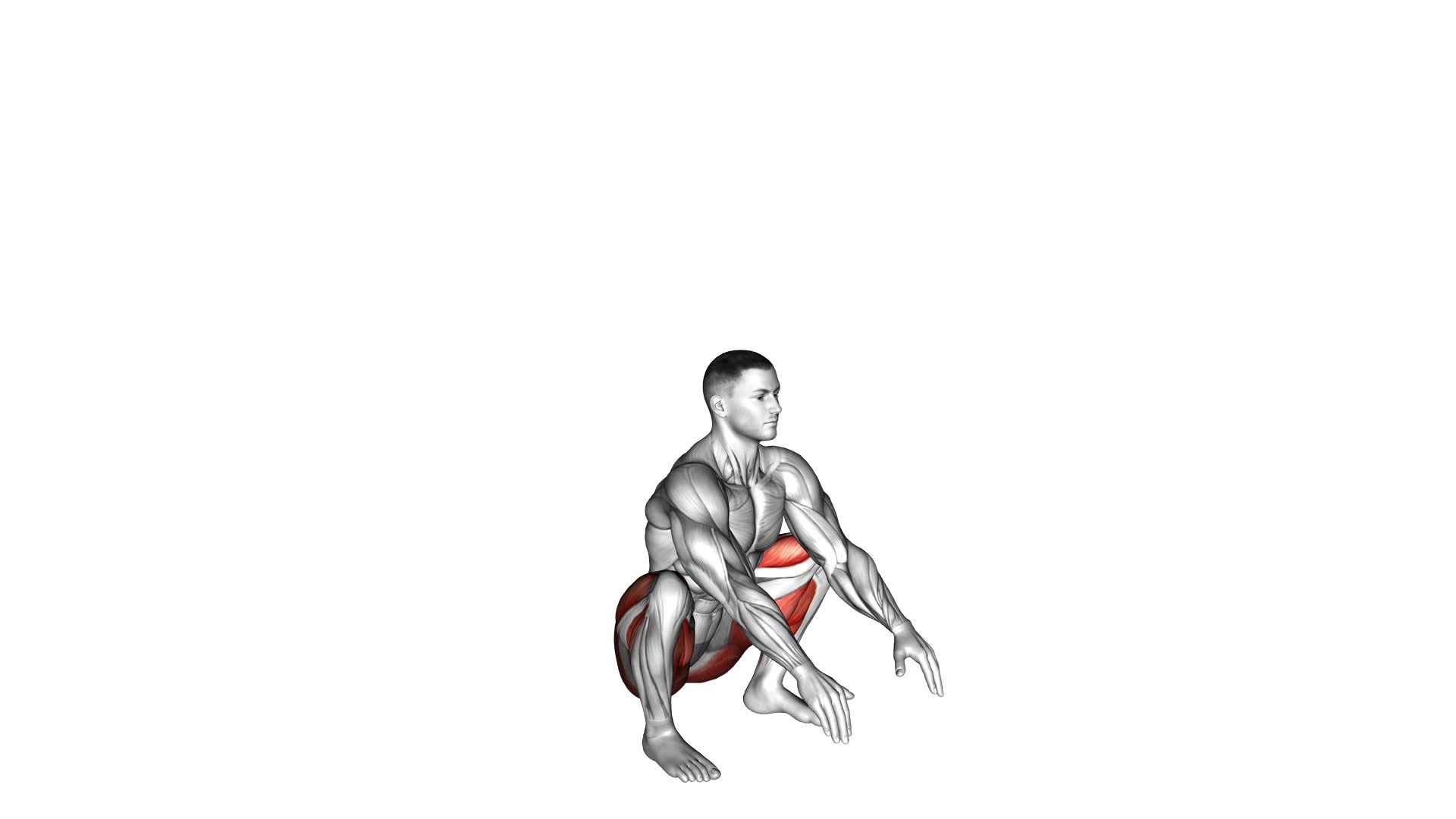 Full Squat Mobility - Video Exercise Guide & Tips