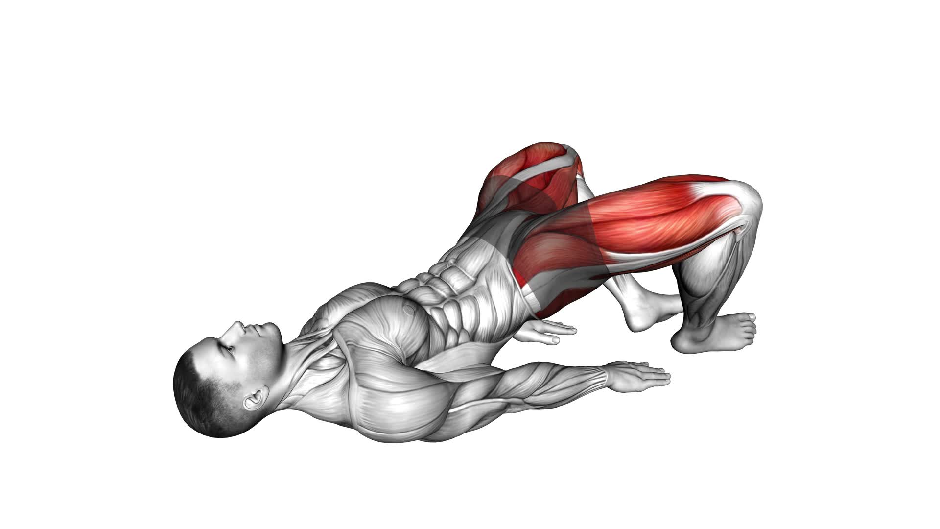 Glute Bridge Hip Abduction (male) - Video Exercise Guide & Tips