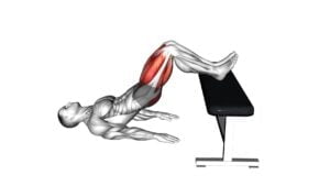 Glute Bridge Two Legs on Bench (male) - Video Exercise Guide & Tips