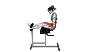 Glute Ham Sit-up (female) - Video Exercise Guide & Tips