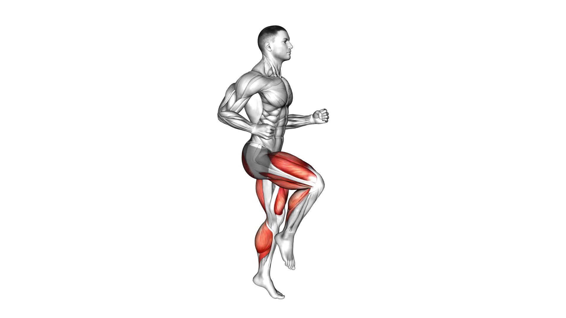 Half Knee Bends (male) - Video Exercise Guide & Tips