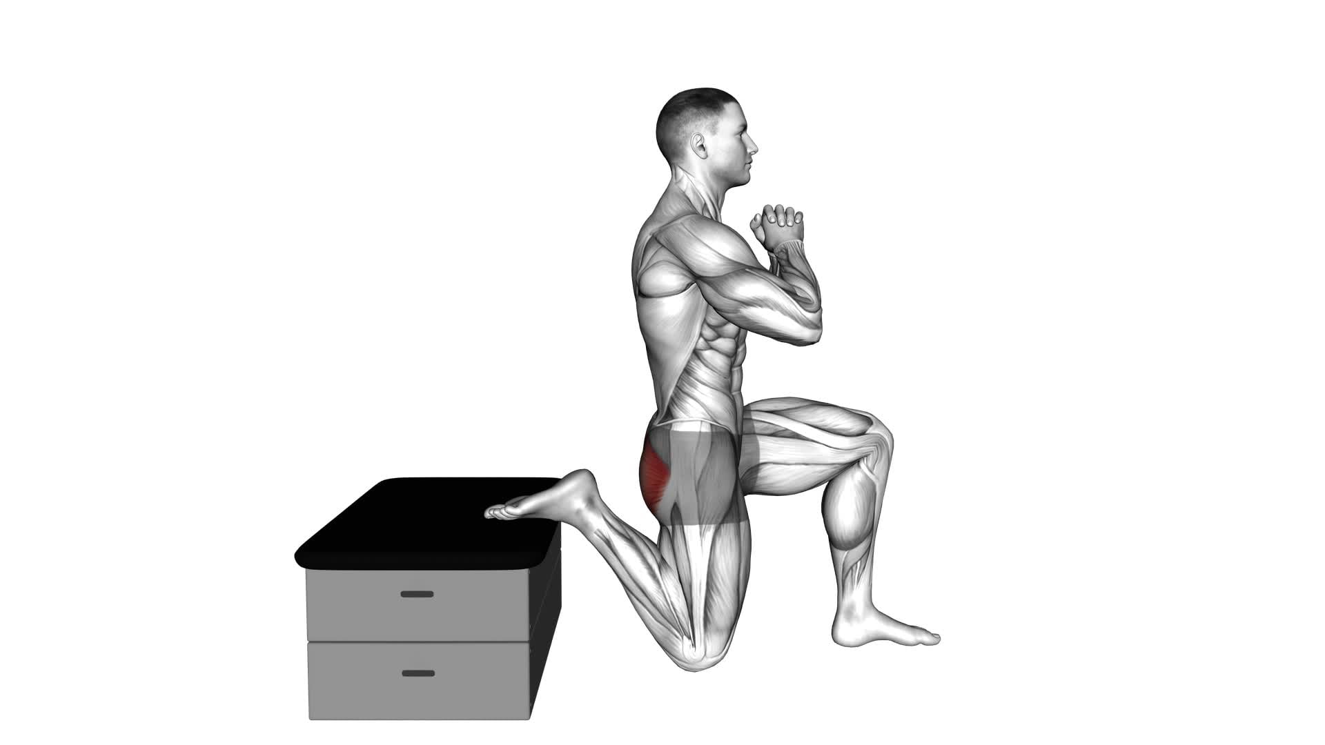 Half Kneeling Glute Stretch (male) - Video Exercise Guide & Tips