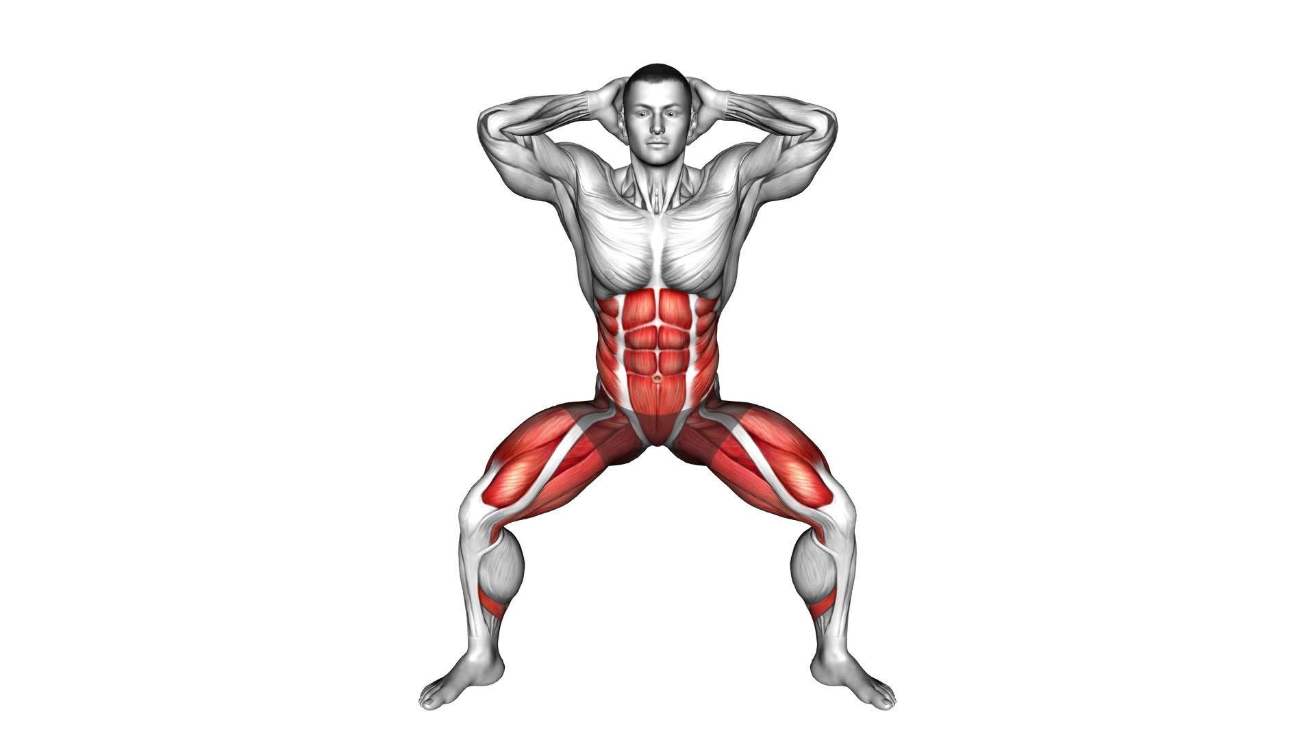 Half Squat Side Reach (male) - Video Exercise Guide & Tips