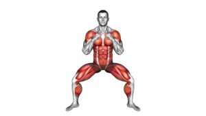 Half Squat Torso Punches (male) - Video Exercise Guide & Tips