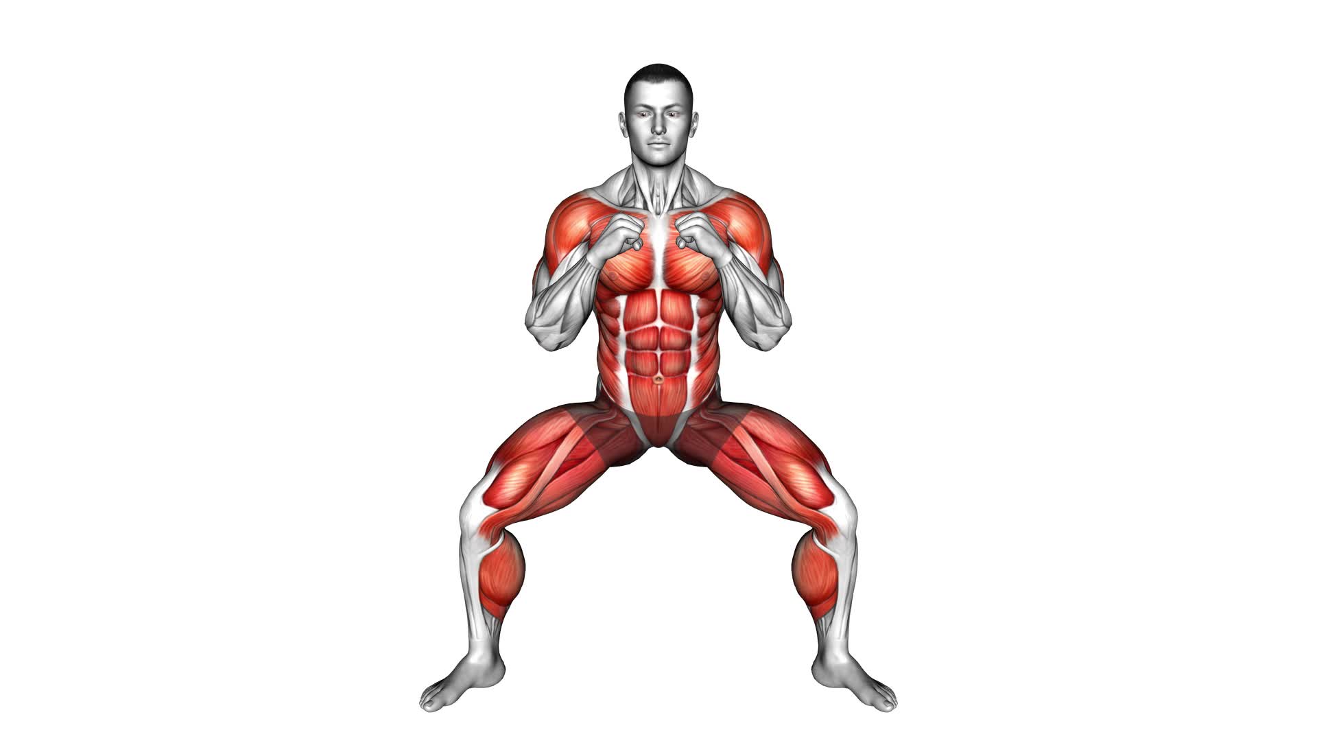 Half Squat Torso Punches (male) - Video Exercise Guide & Tips