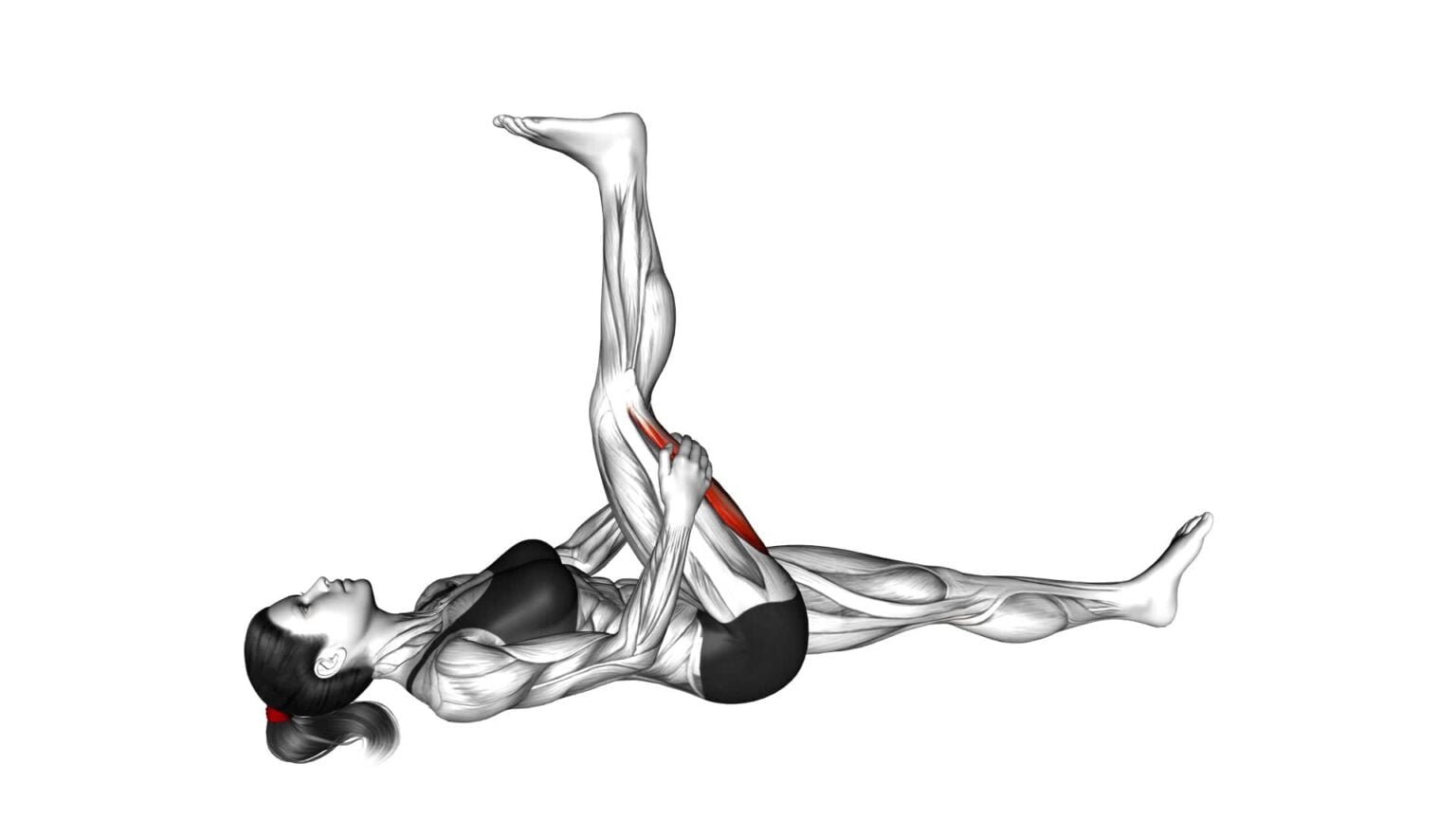 Hamstring Stretch Exercise Example Standing Hamstring Stretch (female): Video Guide & Tips For Effective ...